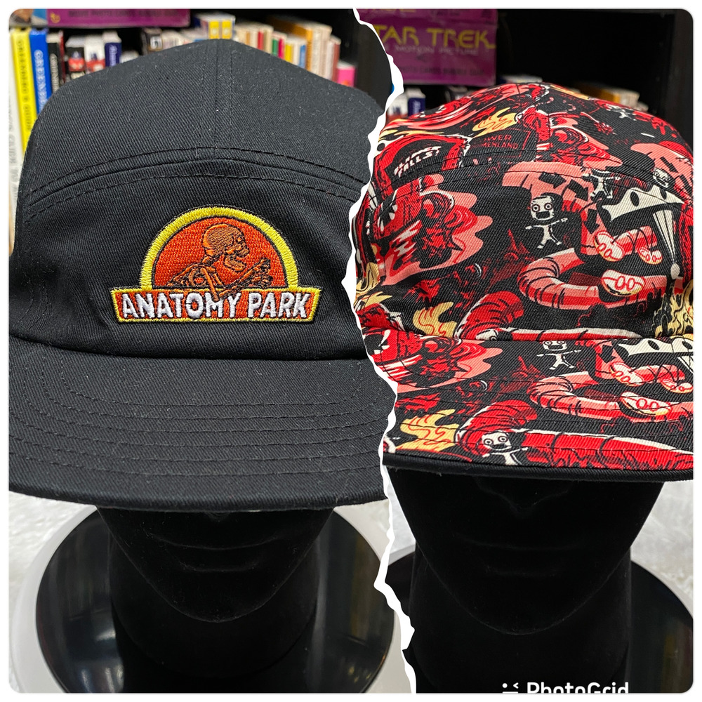 RICK AND MORTY ANATOMY PARK REVERIBLE HAT "NWOT"